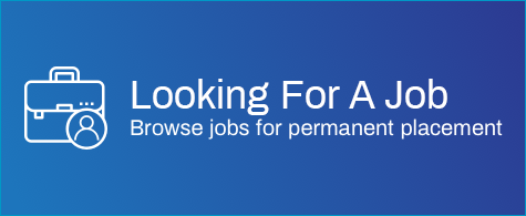 search job